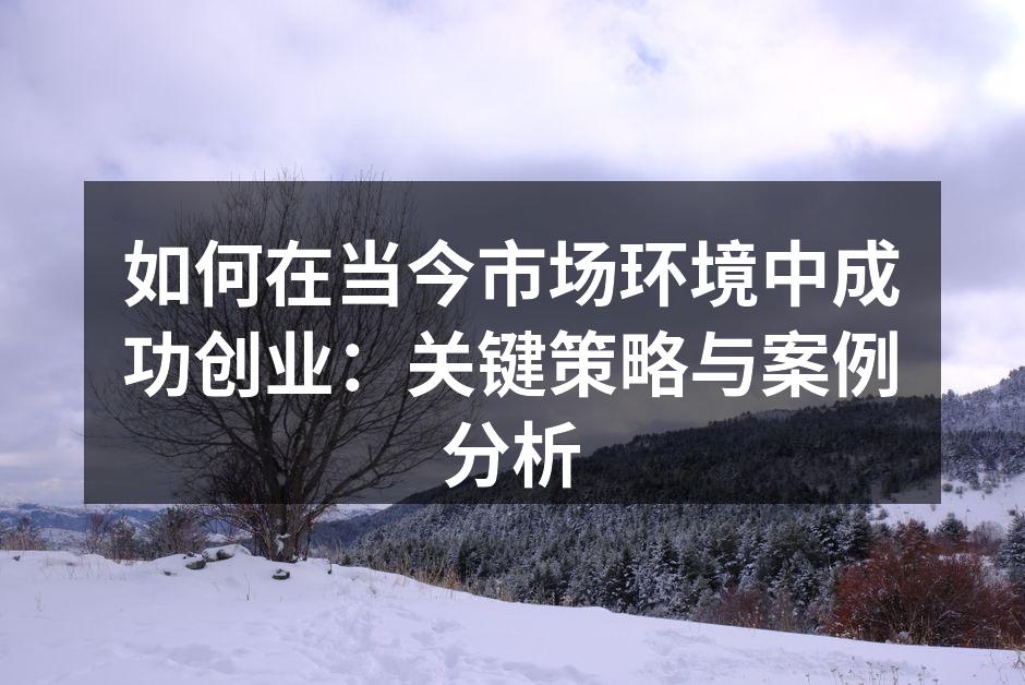 如何在当今市场环境中成功创业：关键策略与案例分析