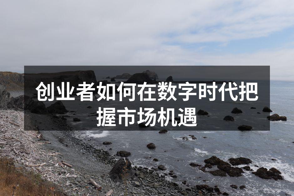 创业者如何在数字时代把握市场机遇